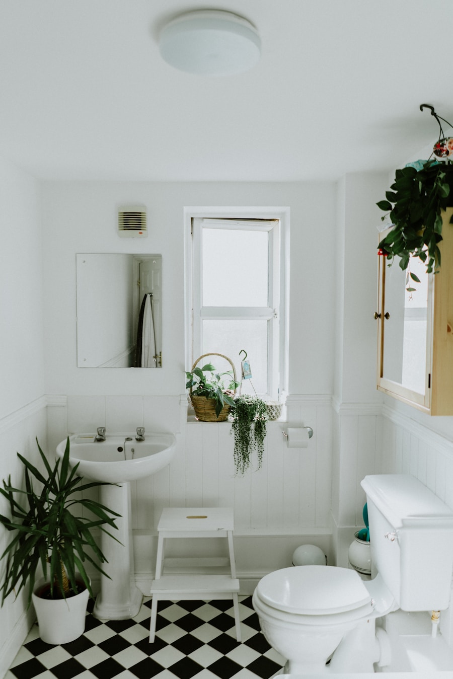 How to Prevent Mould in Your Singapore Bathroom